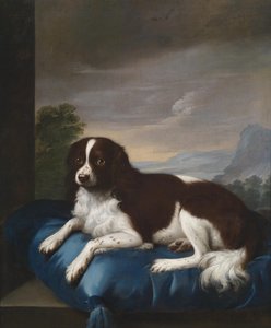 Un Springer Spaniel inglese su un cuscino da Sawrey Gilpin